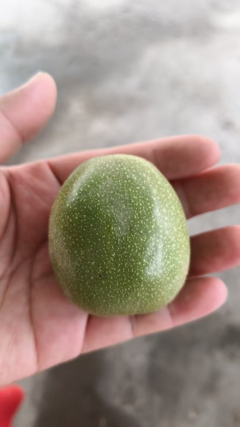 新疆薄皮核桃185（40mm）