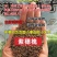 紫穗槐种子护坡复绿灌木种子多年生棉槐穗花槐紫翠槐板条蜜源种籽