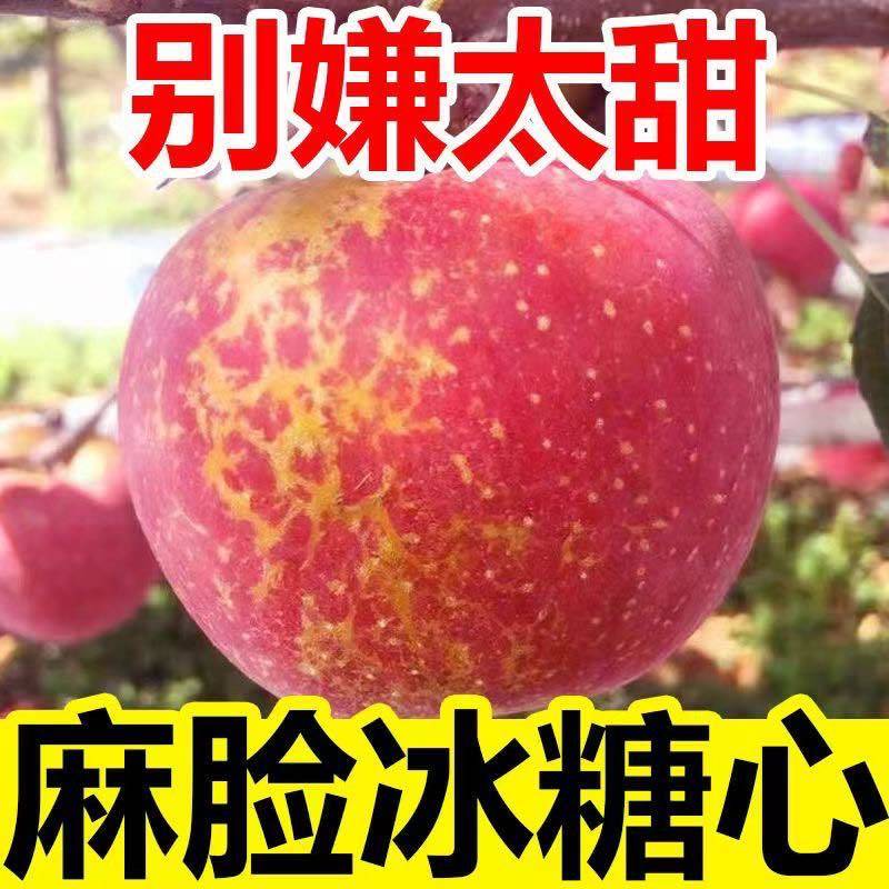 丑苹果冰糖心苹果云南昭通糖心丑苹果脆甜新鲜苹果支持一件代发