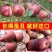 丑苹果冰糖心苹果云南昭通糖心丑苹果脆甜新鲜苹果支持一件代发