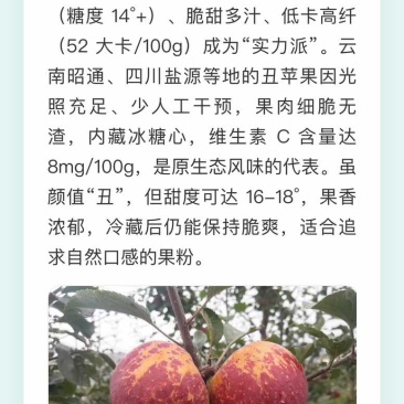 丑苹果冰糖心苹果云南昭通糖心丑苹果脆甜新鲜苹果支持一件代发