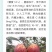 丑苹果冰糖心苹果云南昭通糖心丑苹果脆甜新鲜苹果支持一件代发