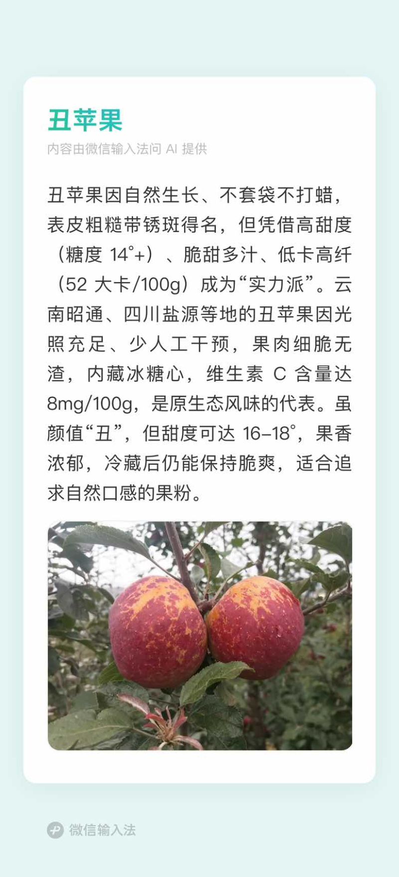 丑苹果冰糖心苹果云南昭通糖心丑苹果脆甜新鲜苹果支持一件代发