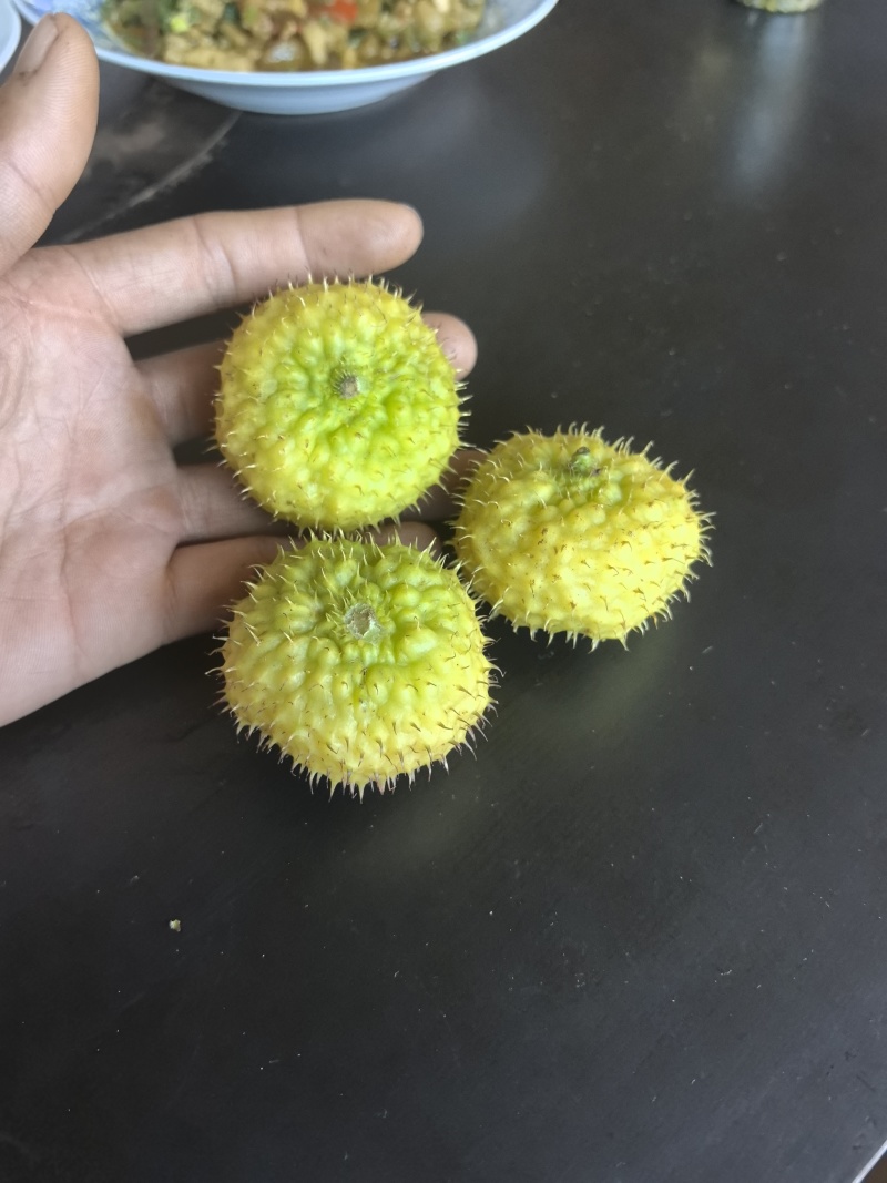 贵州刺梨鲜果