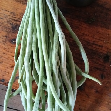豆角