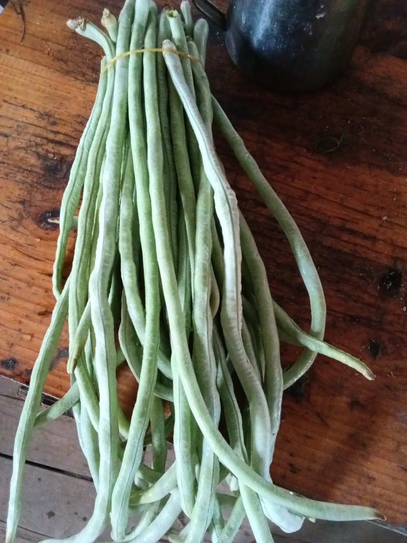 豆角