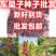 车桑子种子坡柳种子明油子边坡绿化矿山恢复绿固沙保土树种耐贫瘠