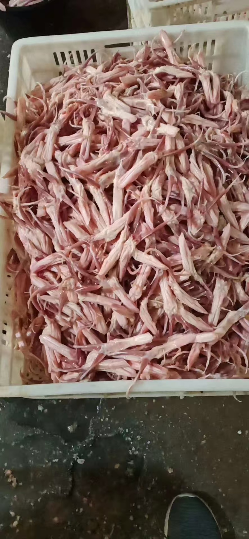 鸭舌