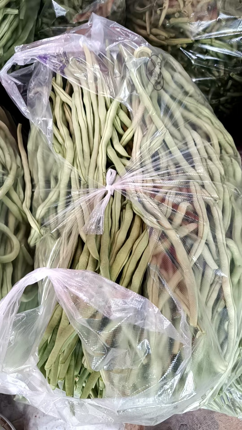 无丝豆角白不老