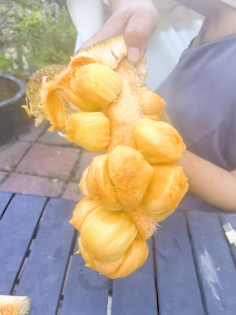 海南榴莲蜜