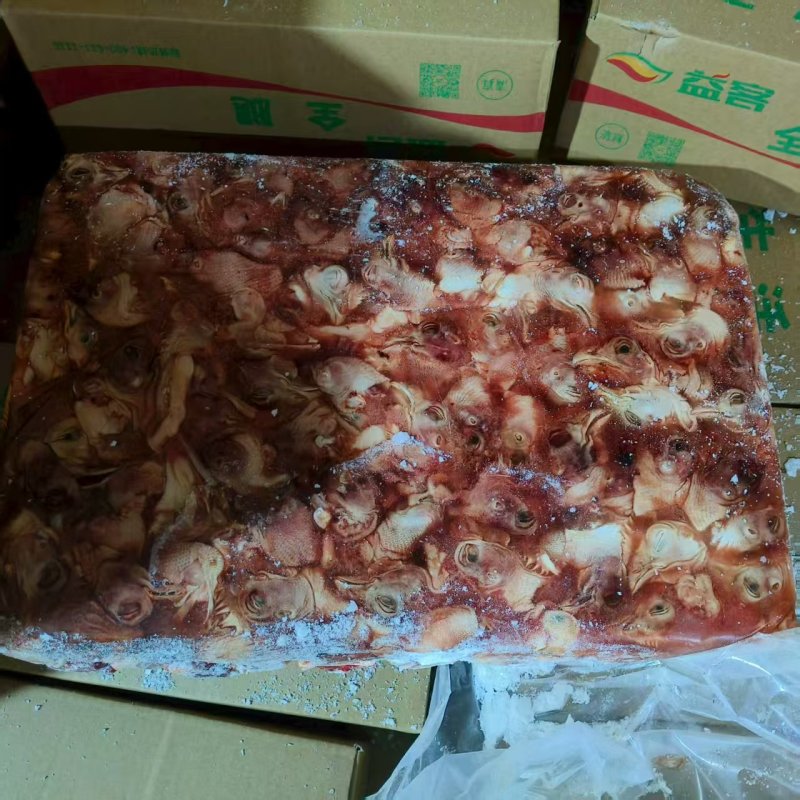 肉鸡头20吨，白菜价格优惠量大从优