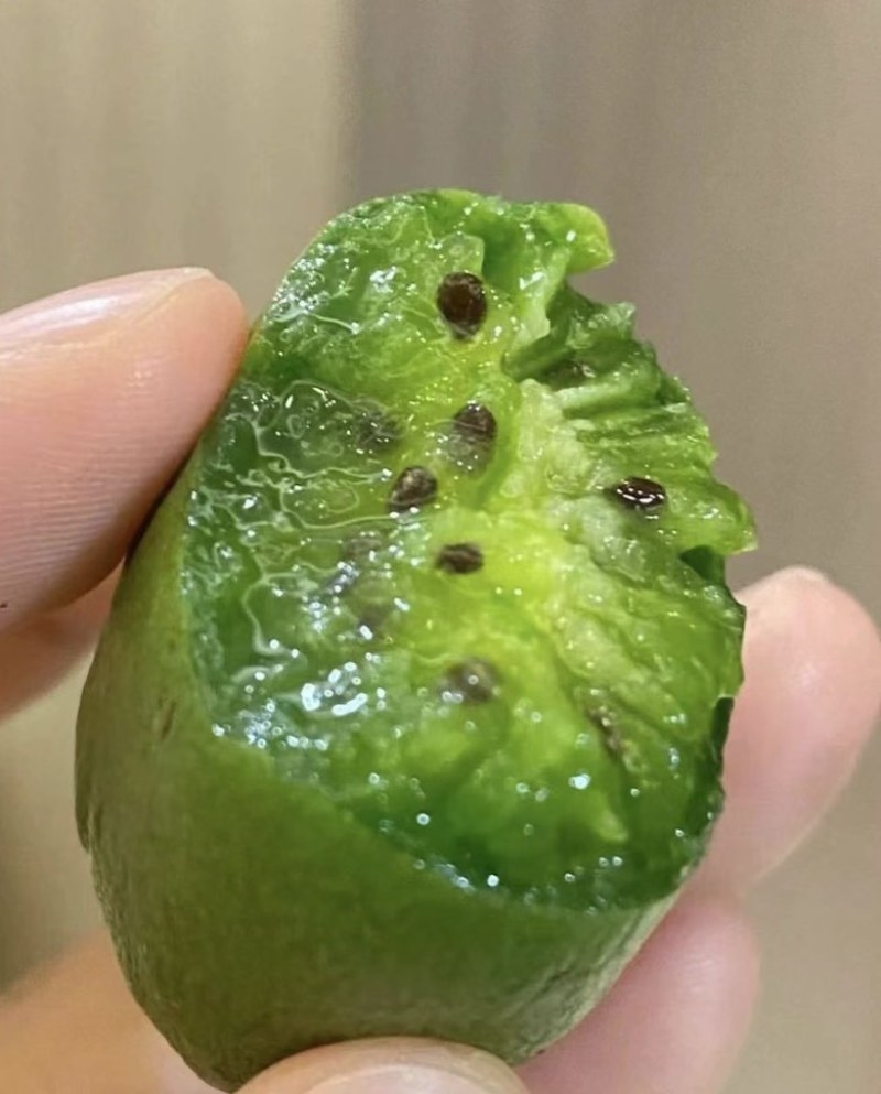 软枣猕猴桃🥝量大可谈，一件代发对接各平台电商，价格低品质好