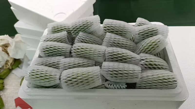 软枣猕猴桃🥝量大可谈，一件代发对接各平台电商，价格低品质好