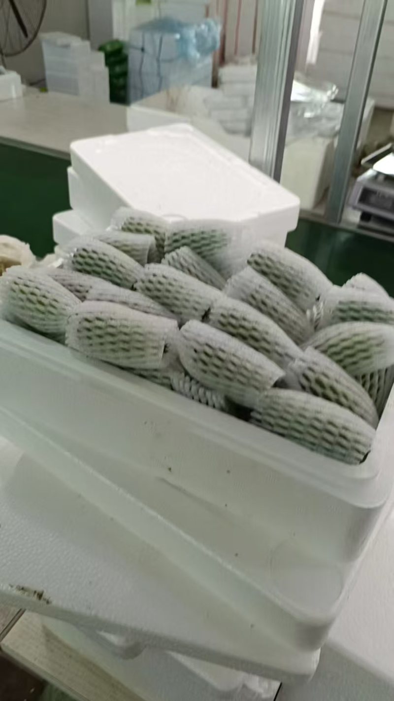 软枣猕猴桃🥝量大可谈，一件代发对接各平台电商，价格低品质好