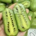 软枣猕猴桃🥝量大可谈，一件代发对接各平台电商，价格低品质好