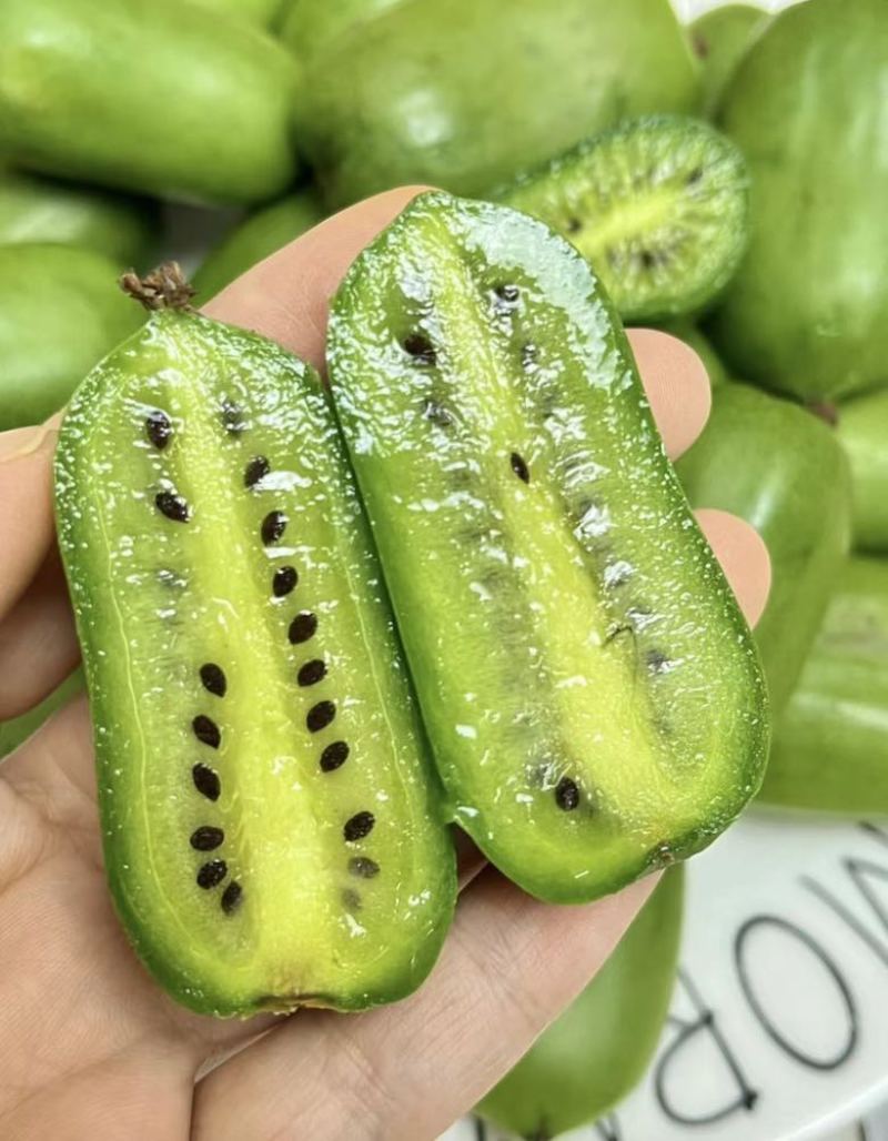 软枣猕猴桃🥝量大可谈，一件代发对接各平台电商，价格低品质好