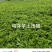 盘州七彩土豆