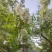 甘肃陇南洋槐花蜂蜜