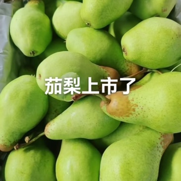 产地大量上市！