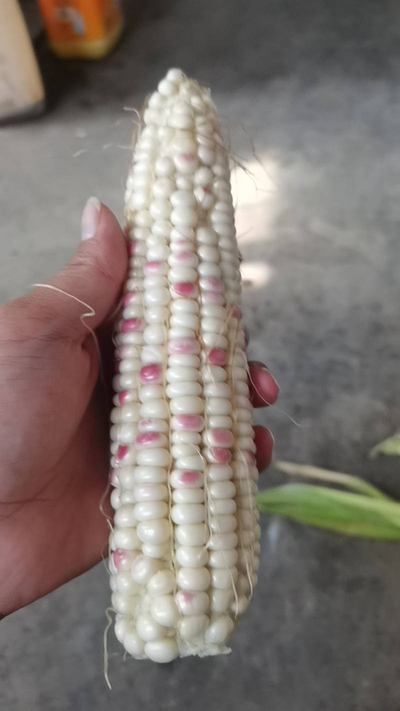 花甜珞玉米