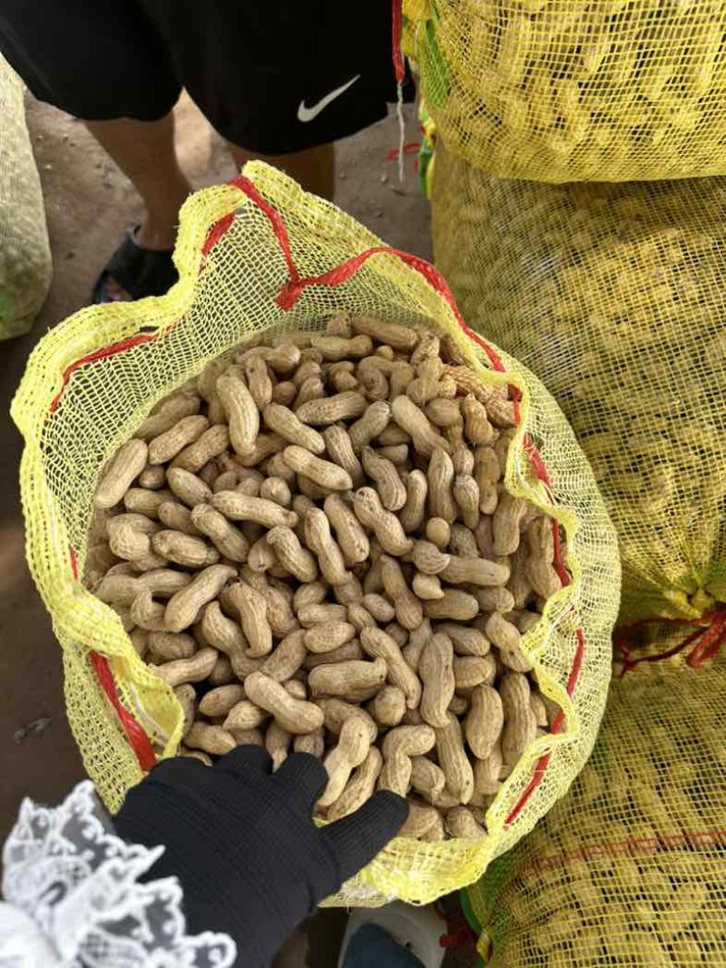 开封鲜花生现出先发保质保量诚信经营非诚勿扰