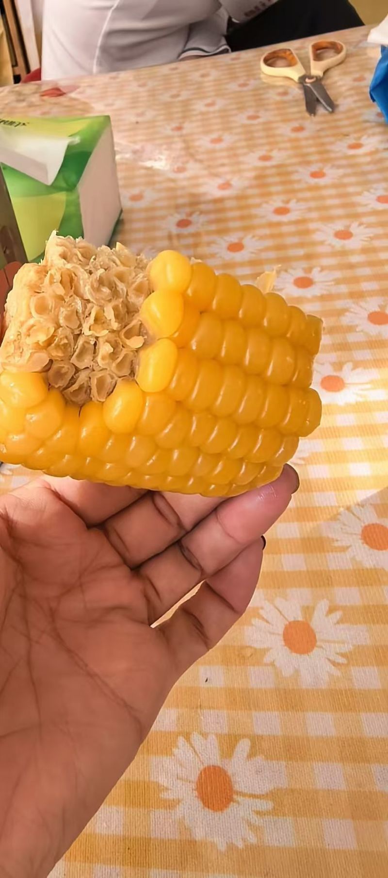 黑龙江黏玉米