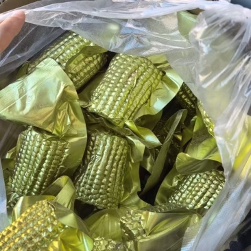 黑龙江黏玉米