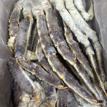 俄罗斯西北渔业熟冻帝王蟹脚