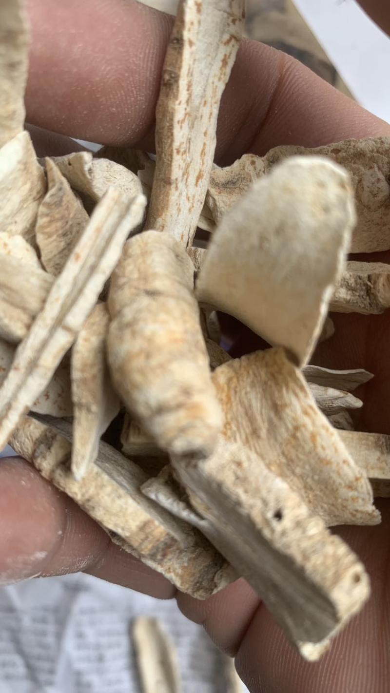 农家白芷（香料）产地