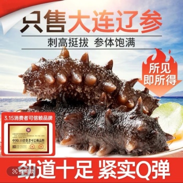 海参