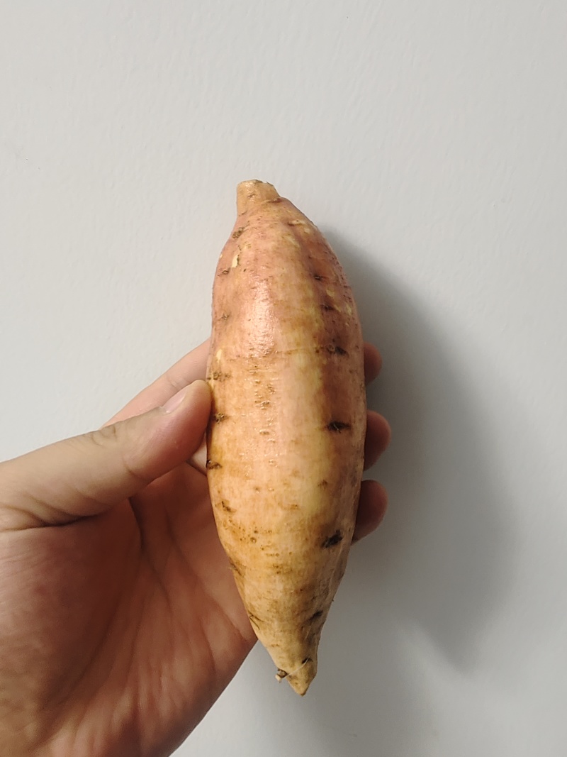徐州睢宁魏集蜜薯黄心蜜薯