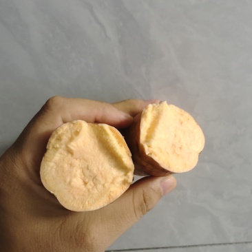 徐州睢宁魏集蜜薯黄心蜜薯