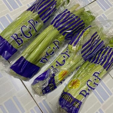 精品西芹