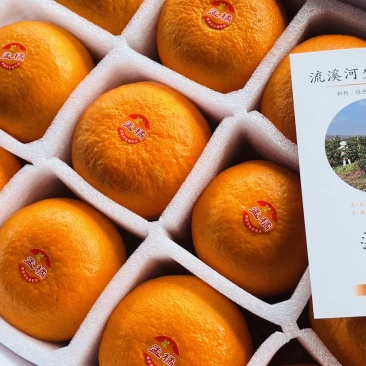 重庆合川爱媛28号，大量上市中