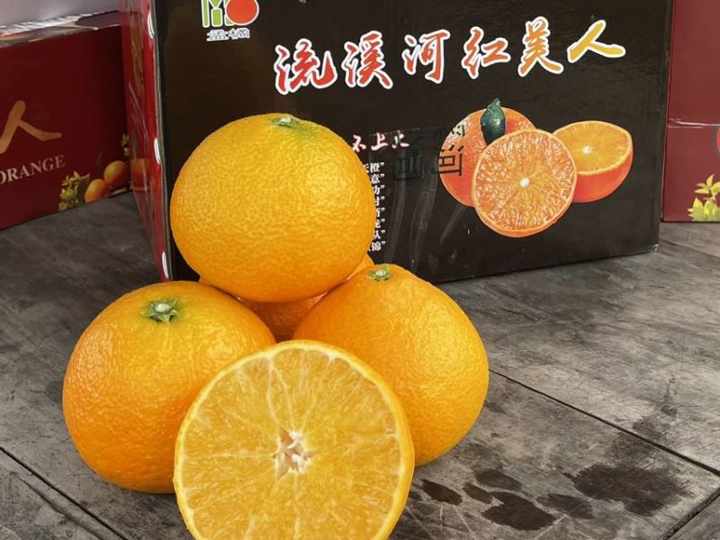 重庆合川爱媛28号，大量上市中