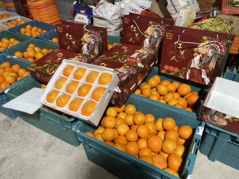 重庆合川爱媛28号，大量上市中