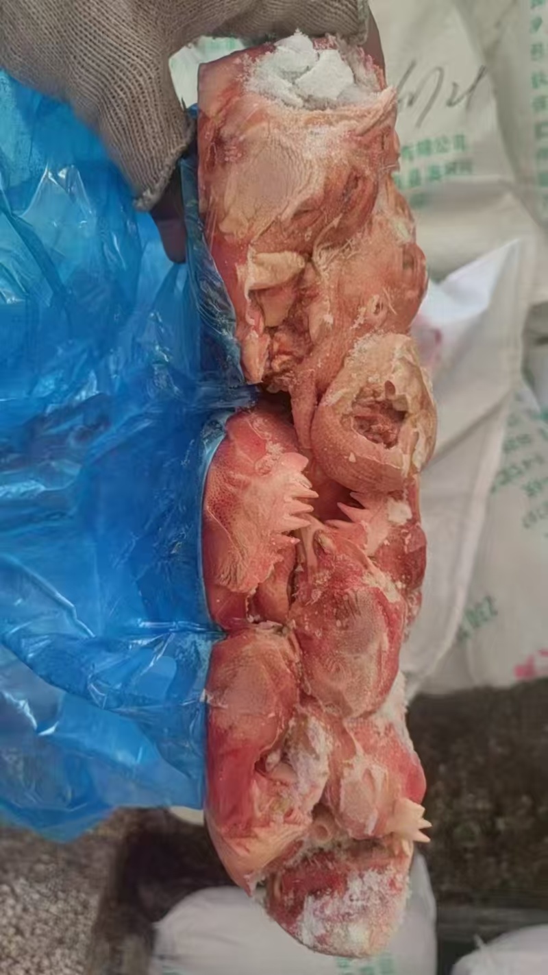 板冻鸡头，新货，价格便宜，量大价格可以谈