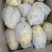 新疆精品黄心土豆，万吨冷库，现货量大，全国发货