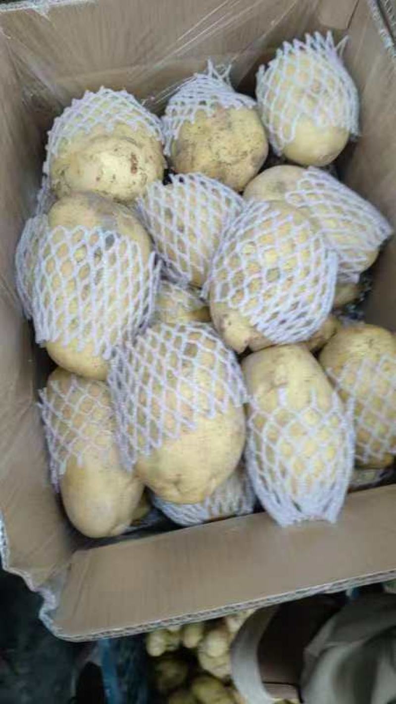 新疆精品黄心土豆，万吨冷库，现货量大，全国发货