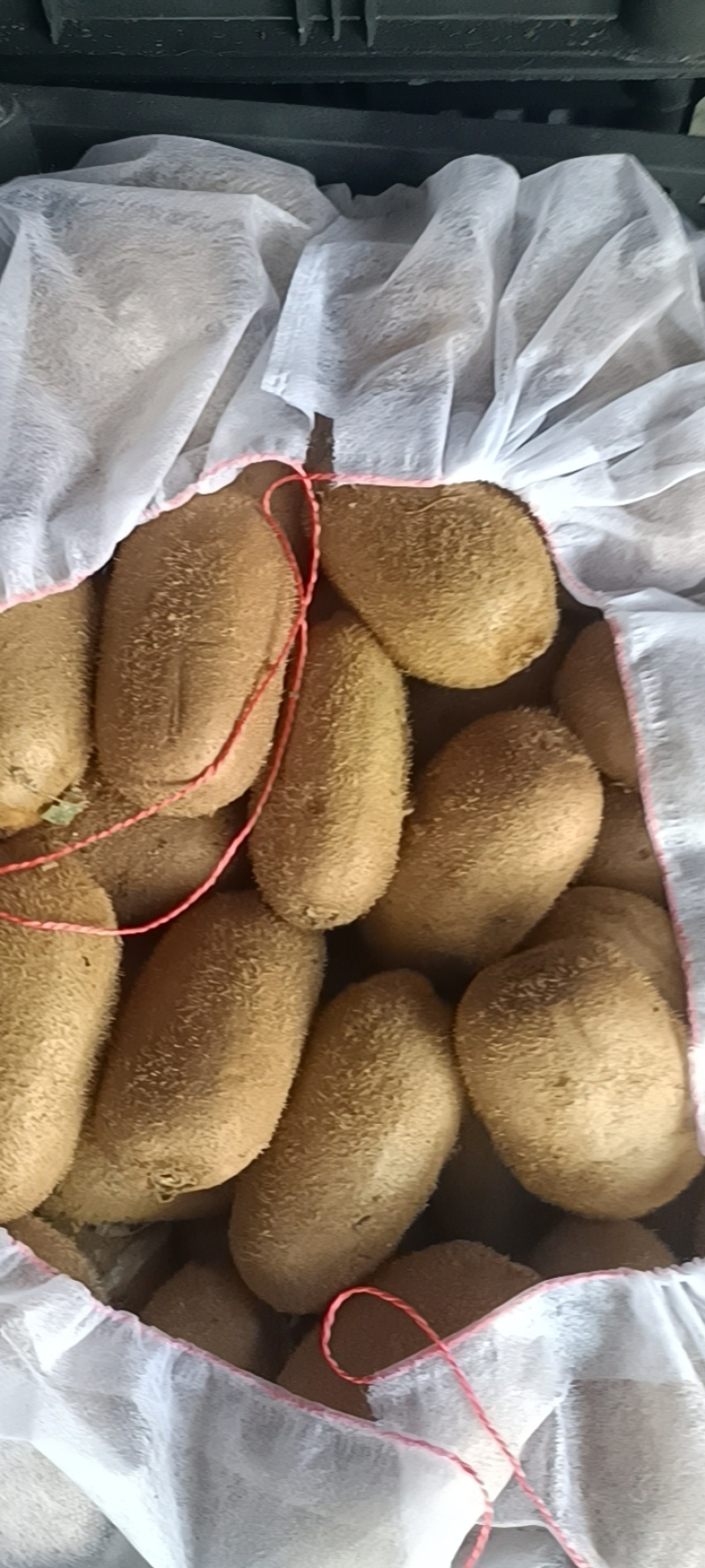欢迎各位老板来