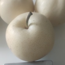 新鲜黄金梨上市，