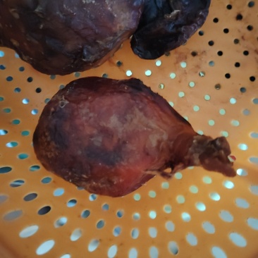鸡宝