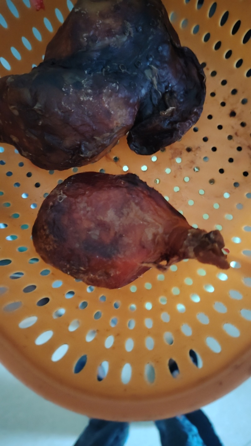 鸡宝