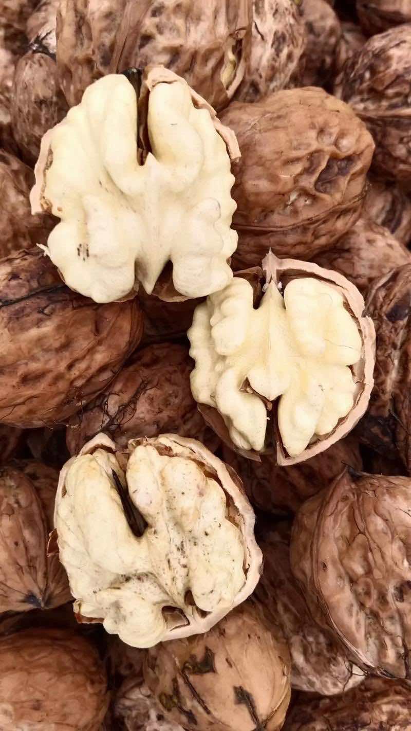 新疆185核桃