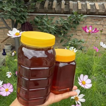 正宗土蜂蜜，不加糖，市面上很少有