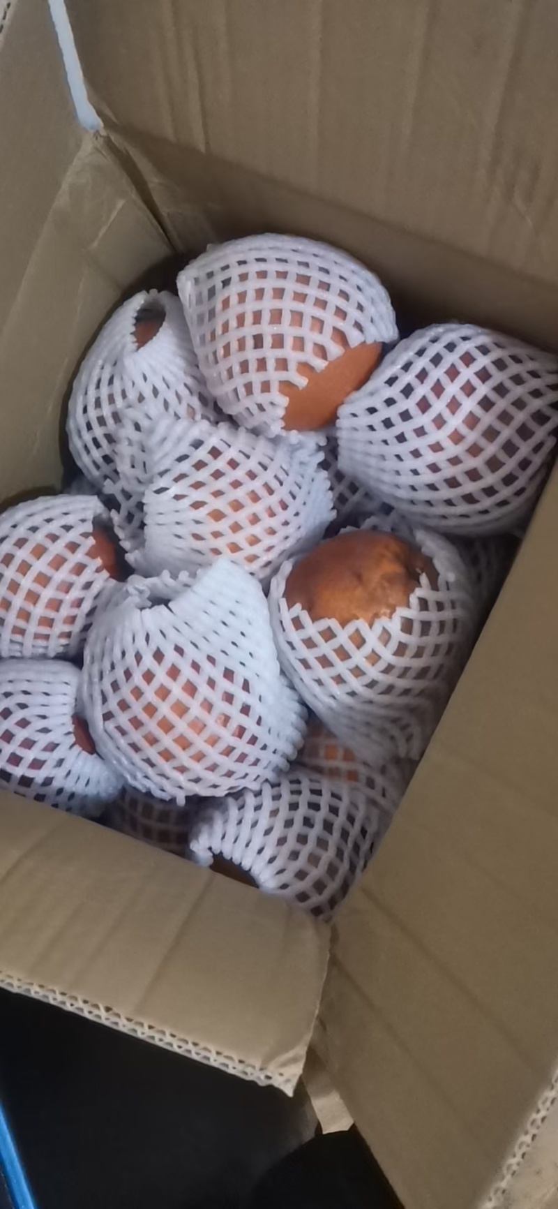 资中塔罗科血橙