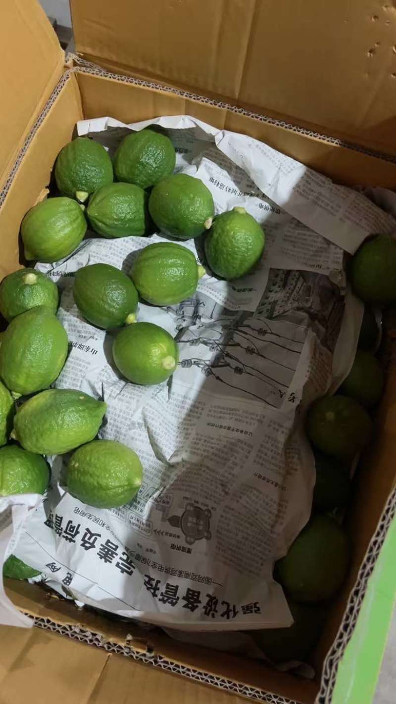 广东香水柠檬，自家果园，原产地直发