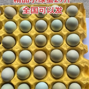 鸡场源头供应批发优质乌鸡蛋，土鸡蛋，红心鸡蛋