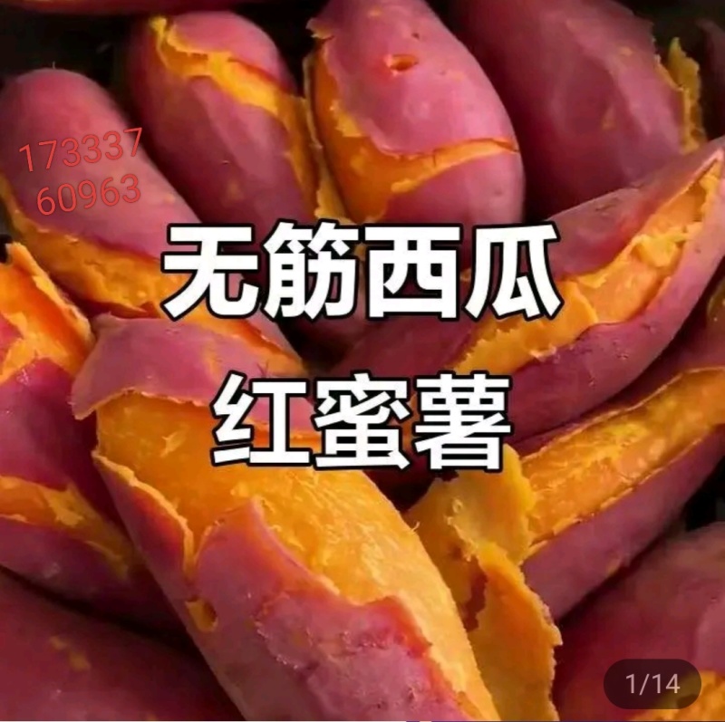 哈密！龙九！西瓜红！
