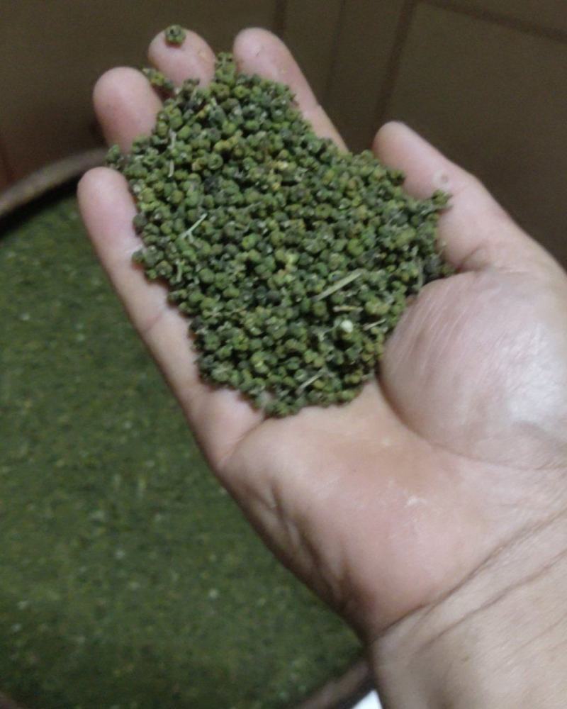 吴茱萸